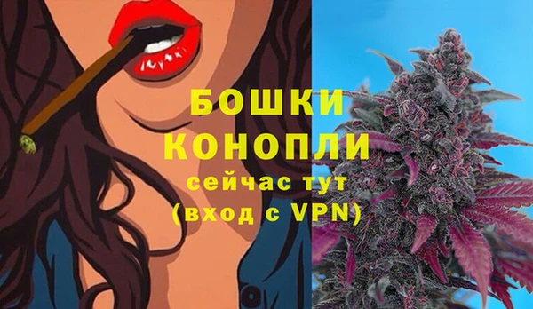 ALPHA-PVP Краснослободск