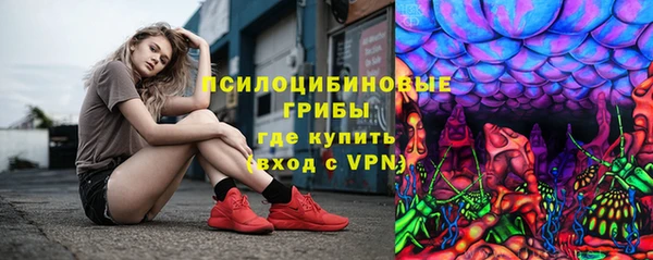 ALPHA-PVP Краснослободск
