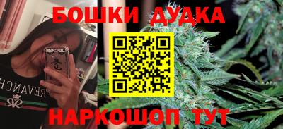 гидра Беслан