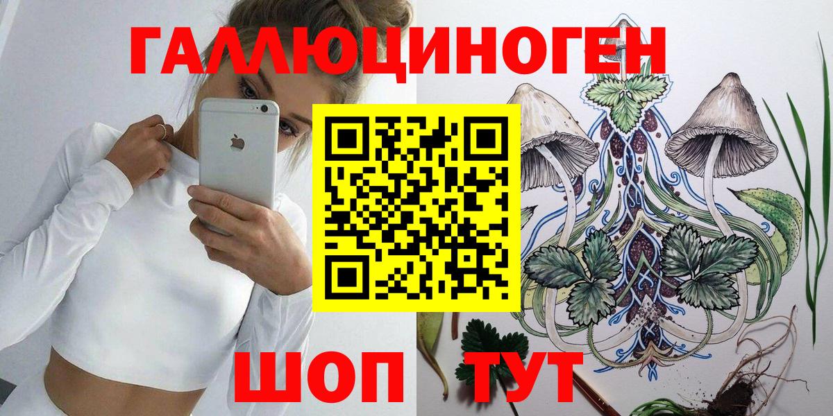 Псилоцибиновые грибы Cubensis  где купить наркотик  Вход с VPN  Грязи  Псилоцибиновые грибы Cubensis 