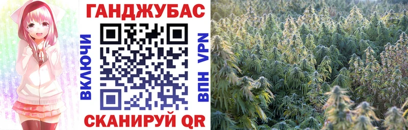 Конопля индика  купить   Грязи 